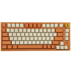 Механічна ігрова клавіатура Ajazz DKM-200 (81 клавіша, USB Type-C, Orange)